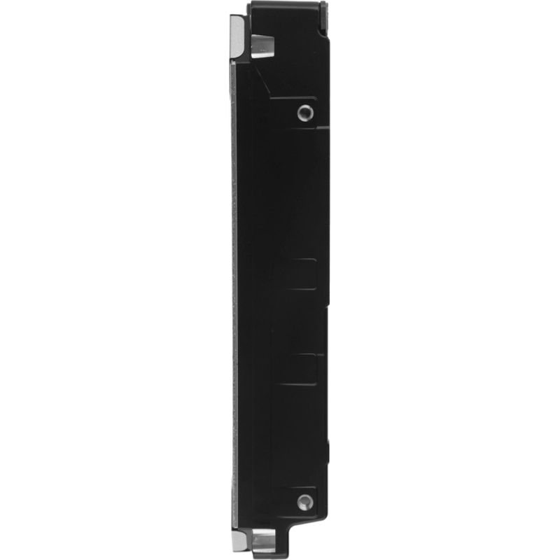 WD WD241KRYZ