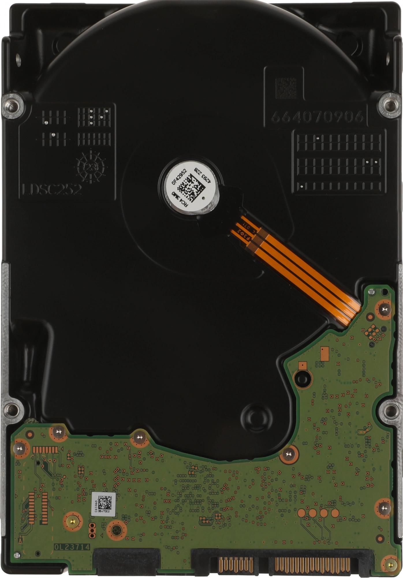 WD WD241KRYZ