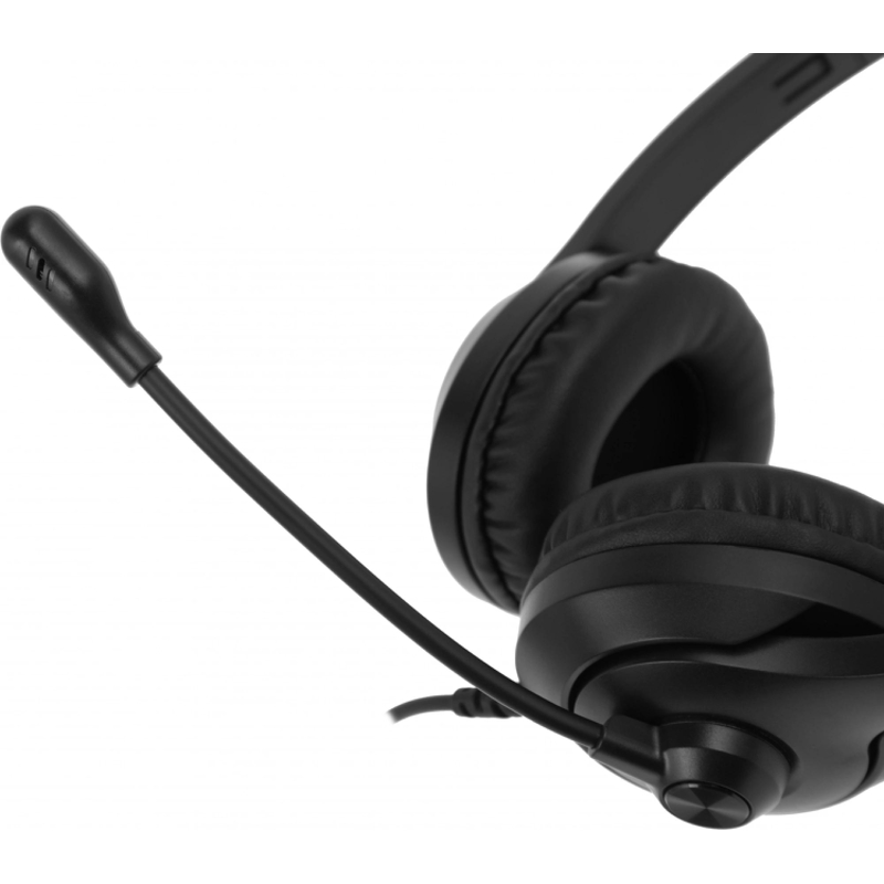 A4Tech FH100 (STONE BLACK)
