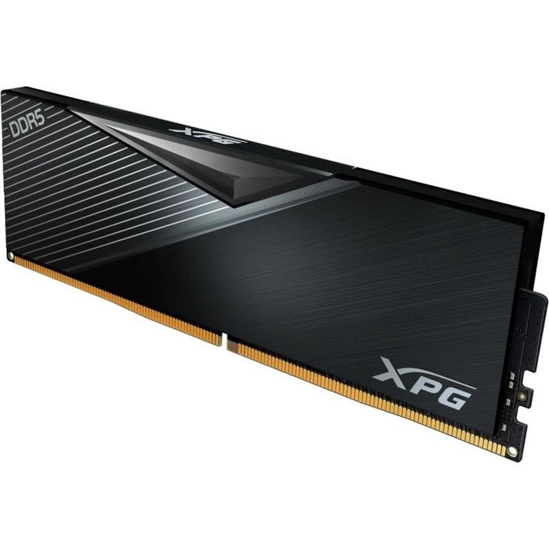 ADATA AX5U6000C3016G-DCLABK
