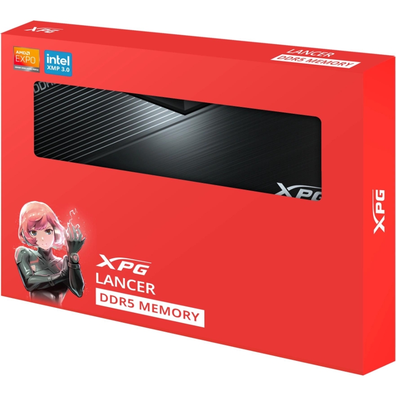ADATA AX5U6000C3016G-DCLABK