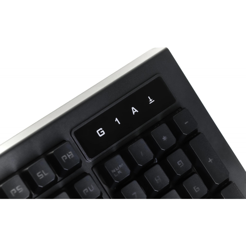 A4Tech B120N