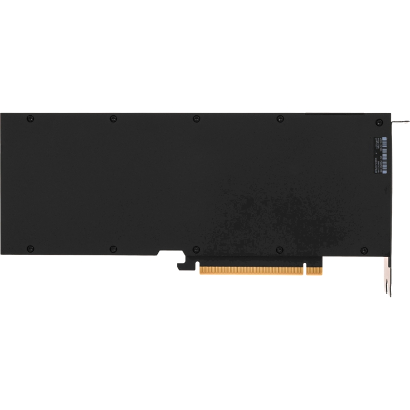 NVIDIA L40S (900-2G133-0080-000)