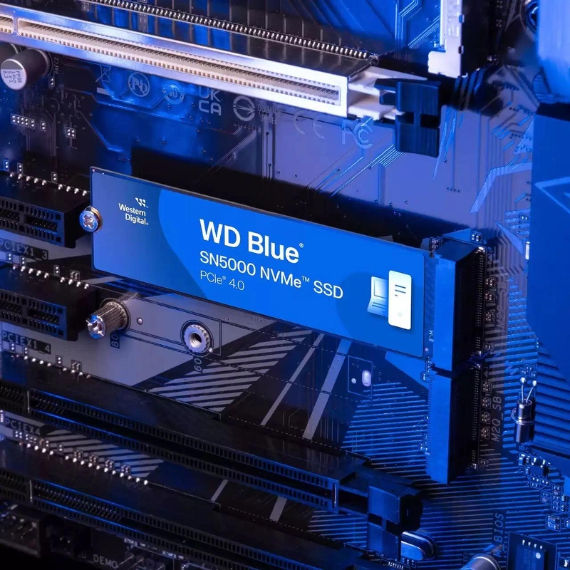 WD WDS100T4B0E