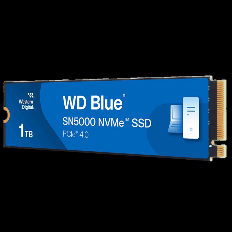 WD WDS100T4B0E