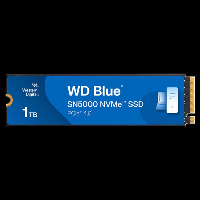 WD WDS100T4B0E