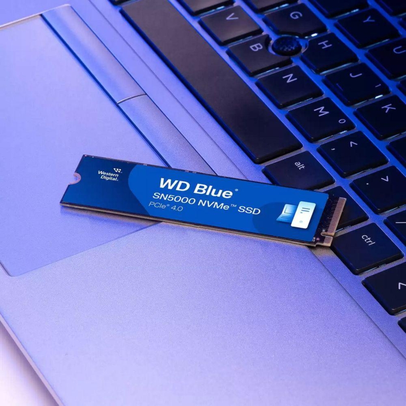 WD WDS100T4B0E