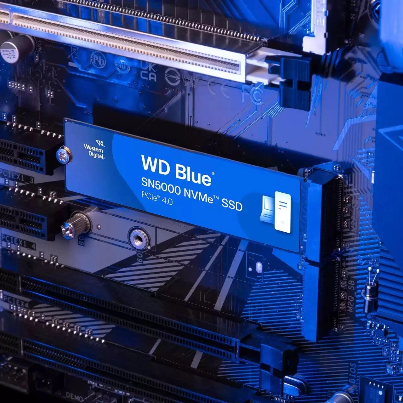 WD WDS100T4B0E