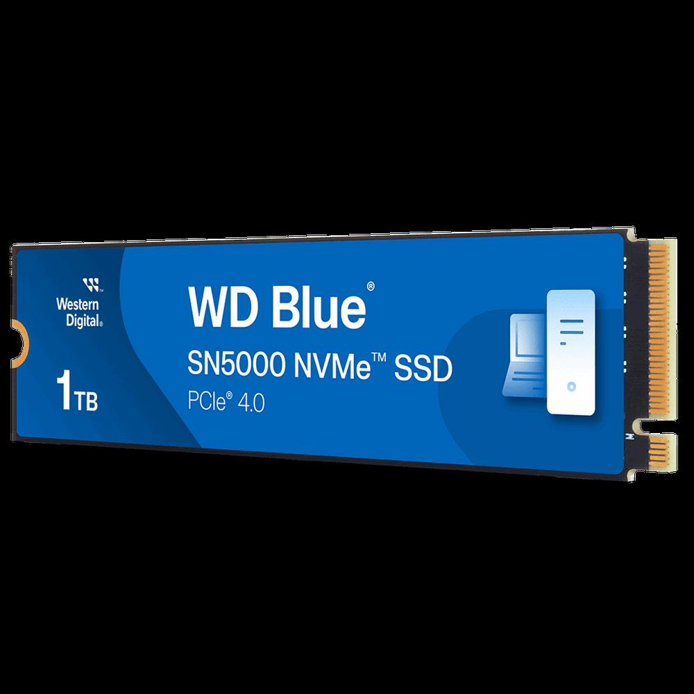 WD WDS100T4B0E