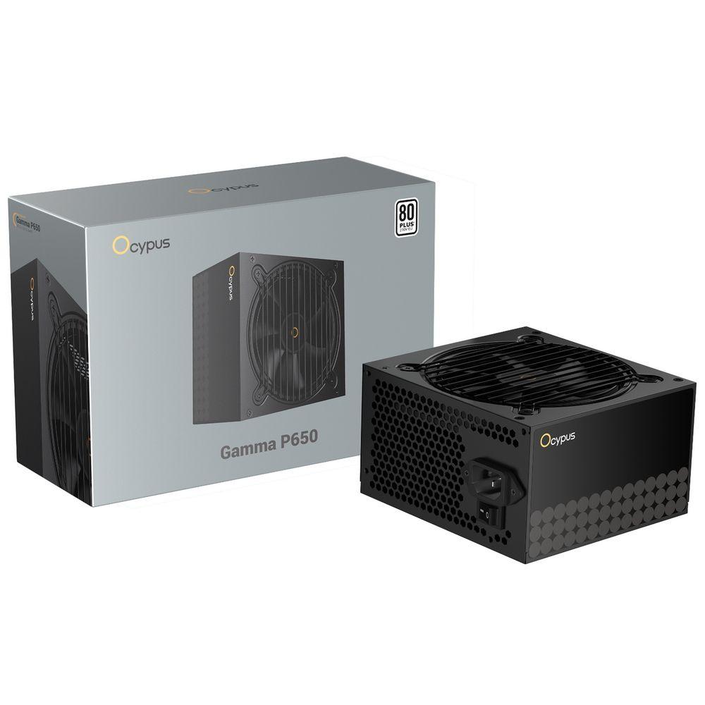 WD Gamma-P650-W1HDBK024X-EU