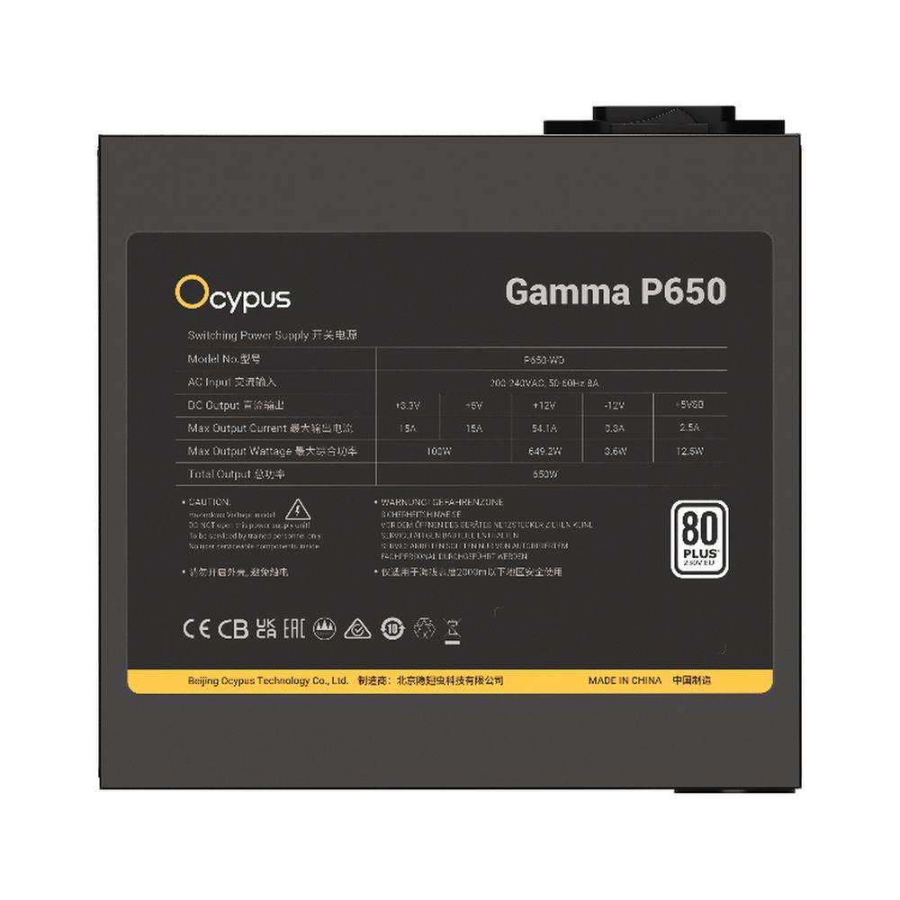 WD Gamma-P650-W1HDBK024X-EU