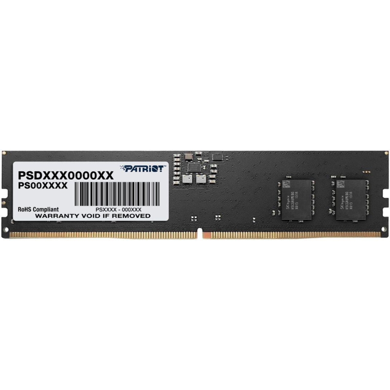 Patriot PSD516G480081