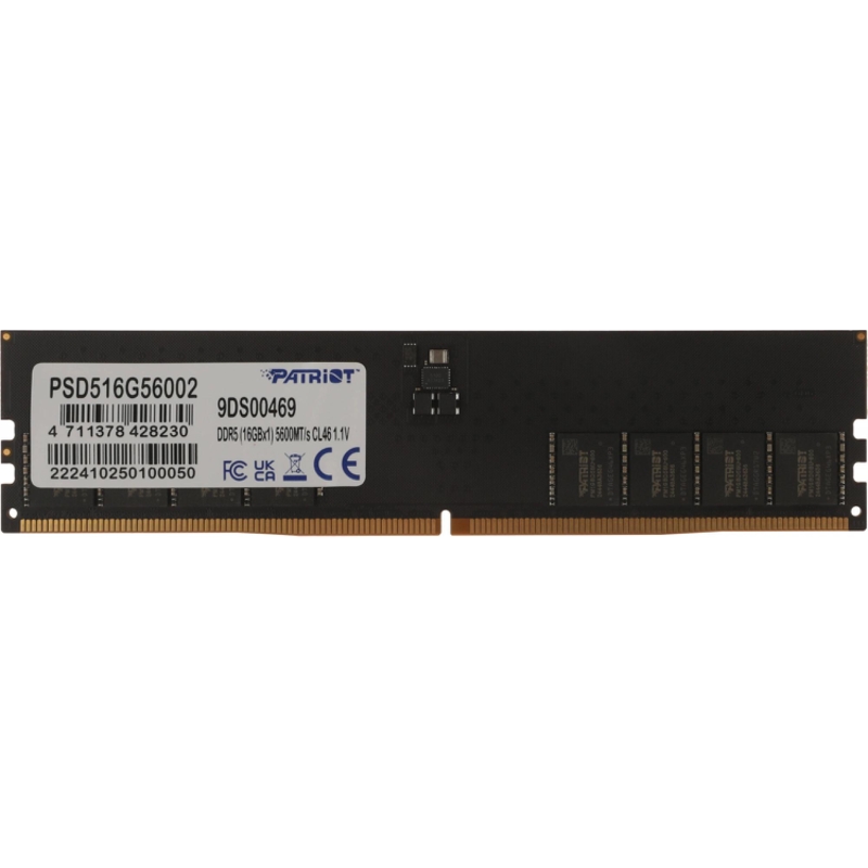 Patriot PSD516G56002