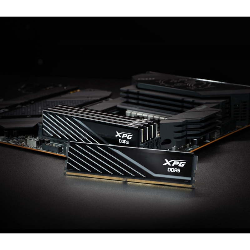 ADATA AX5U6400C3216G-DTLABBK