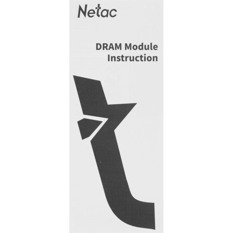 Netac NTSWD4P32DP-16K