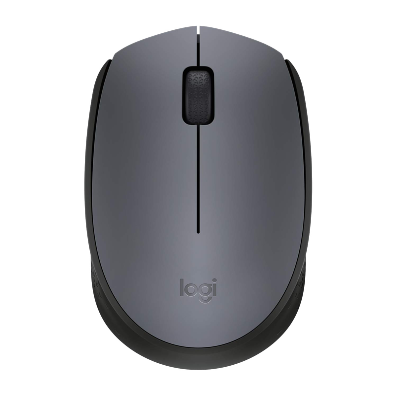 Logitech M170
