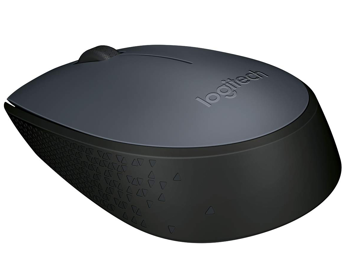 Logitech M170