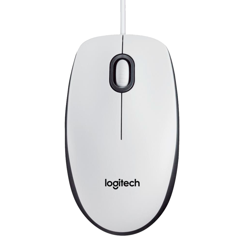Logitech M100