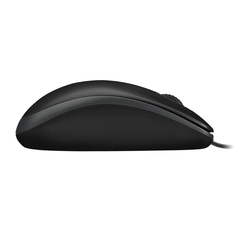 Logitech Optical Mouse B100