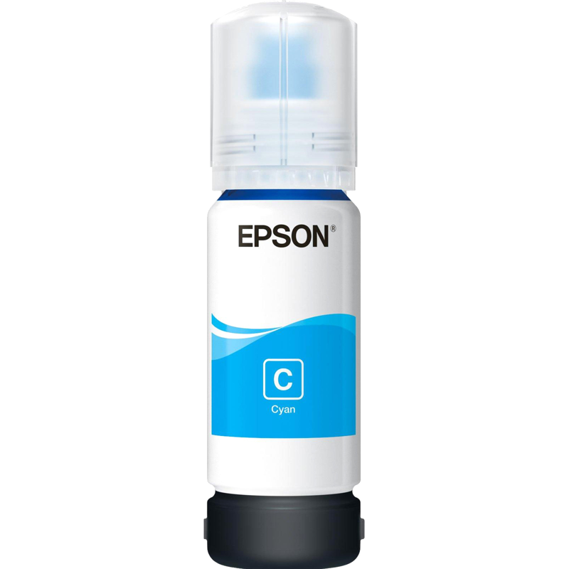 Epson C13T00R240