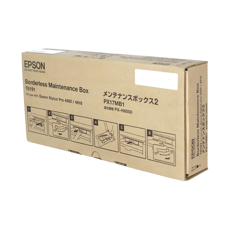 Epson C13T619100