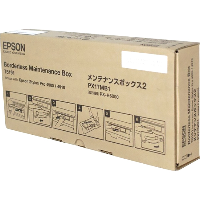 Epson C13T619100