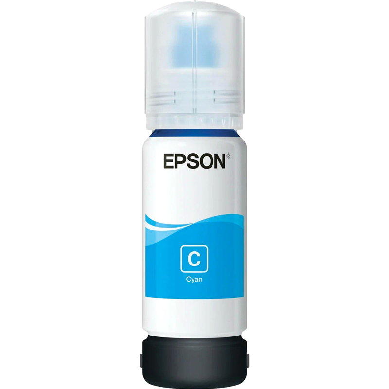 Epson C13T06C24A