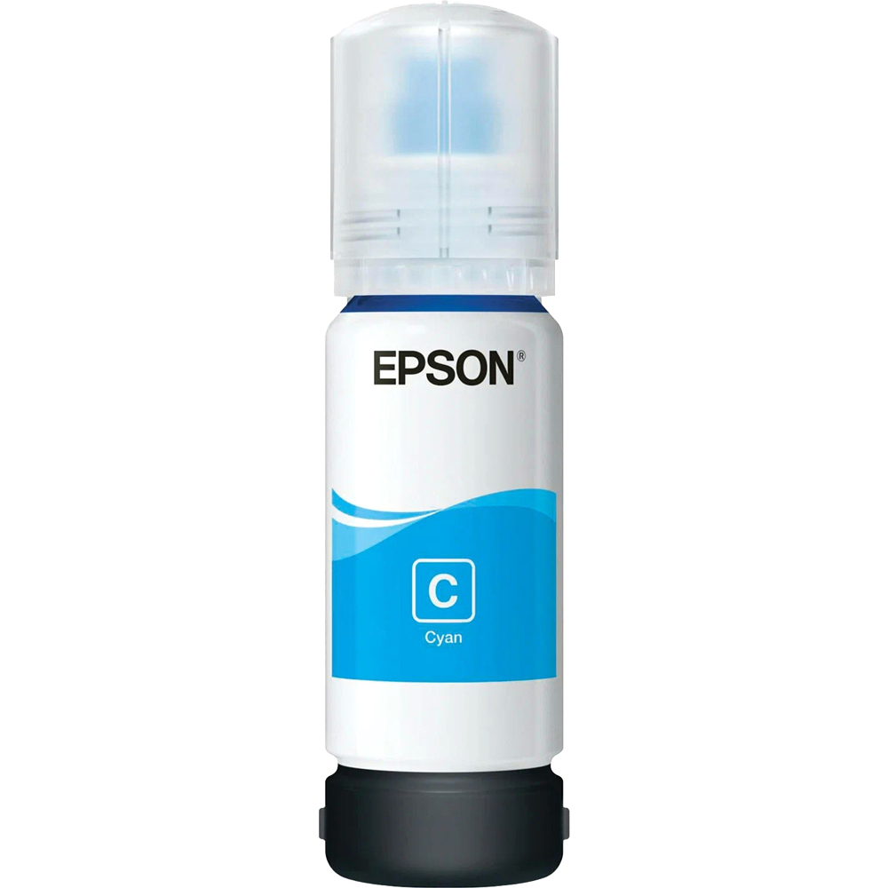 Epson C13T06C24A