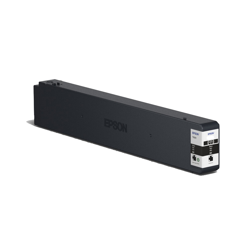 Epson C13T02S100