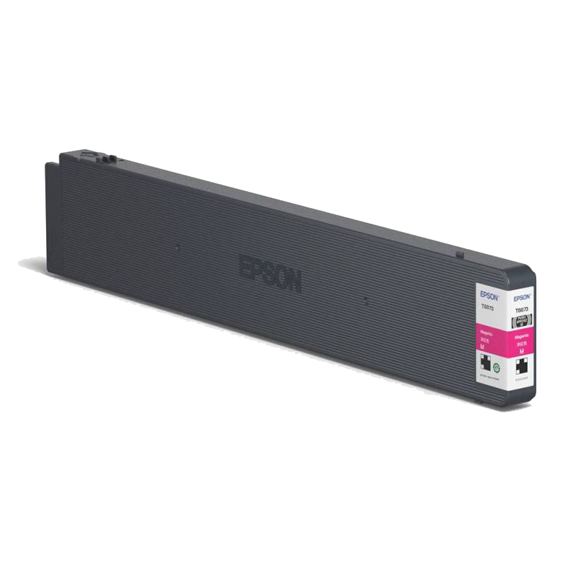 Epson C13T887300