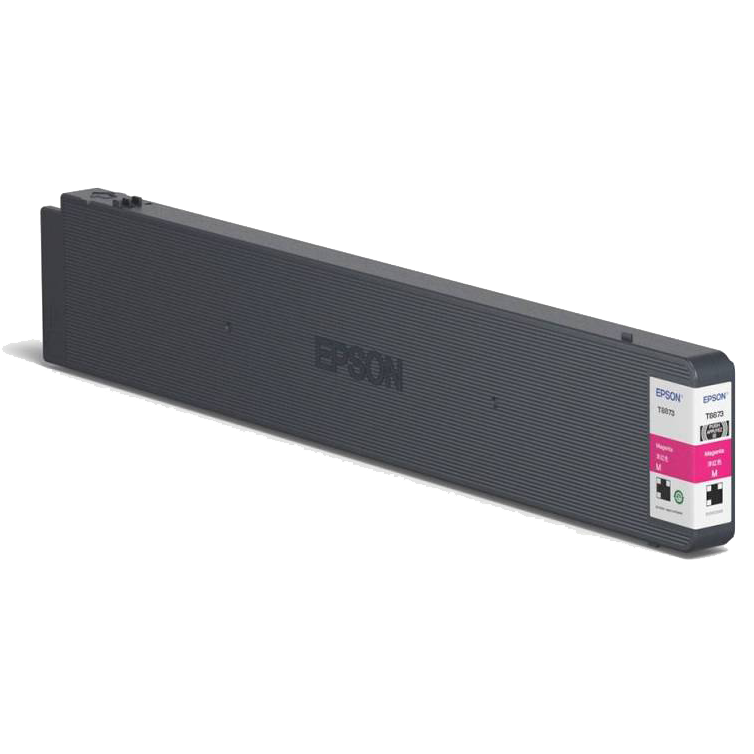 Epson C13T887300