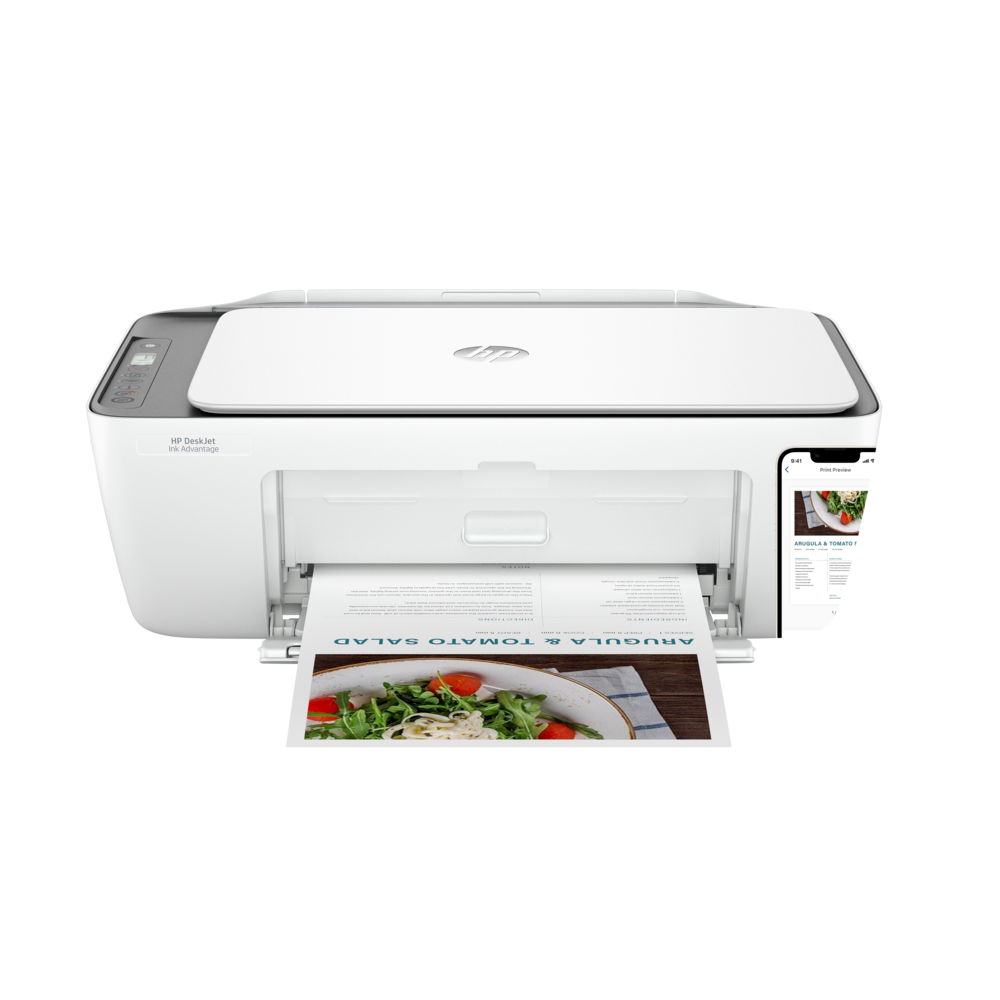 HP DeskJet Ink Advantage 2876 (6W7E6C)