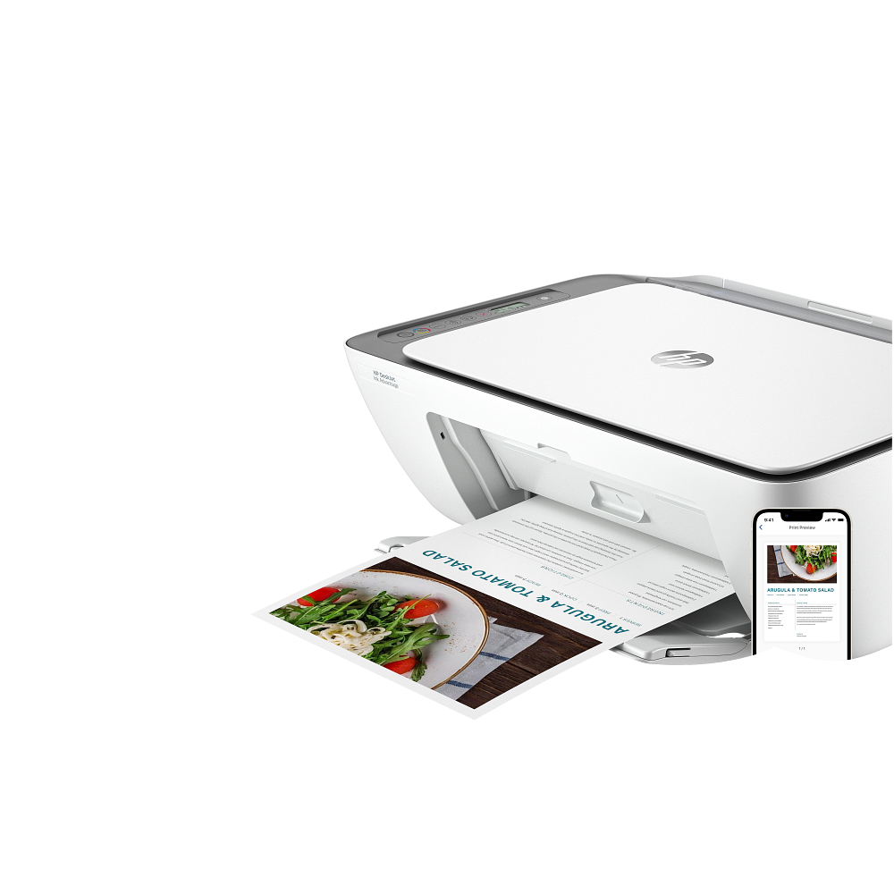HP DeskJet Ink Advantage 2876 (6W7E6C)