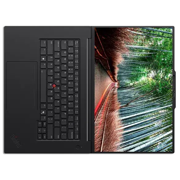 Ноутбук Lenovo ThinkPad P1 G8 16" (21Q80026US)
