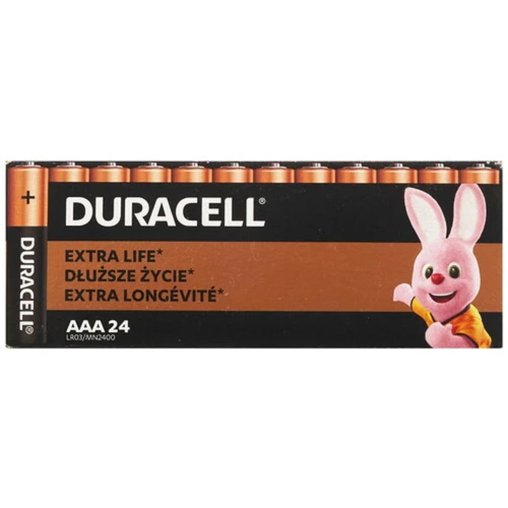 DURACELL LR03-24BL BASIC AAA (MN2400) (24 шт. в уп-ке) арт. B0064969