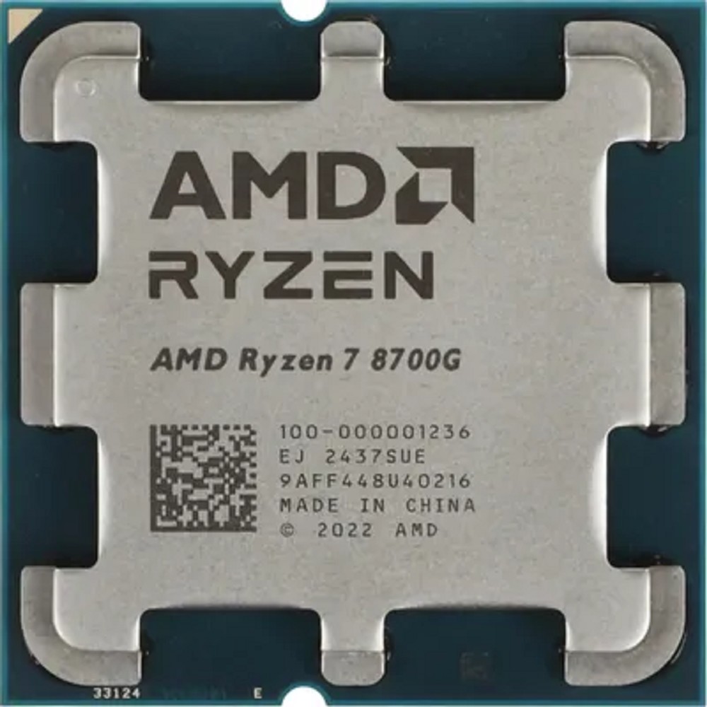 AMD 100-000001236