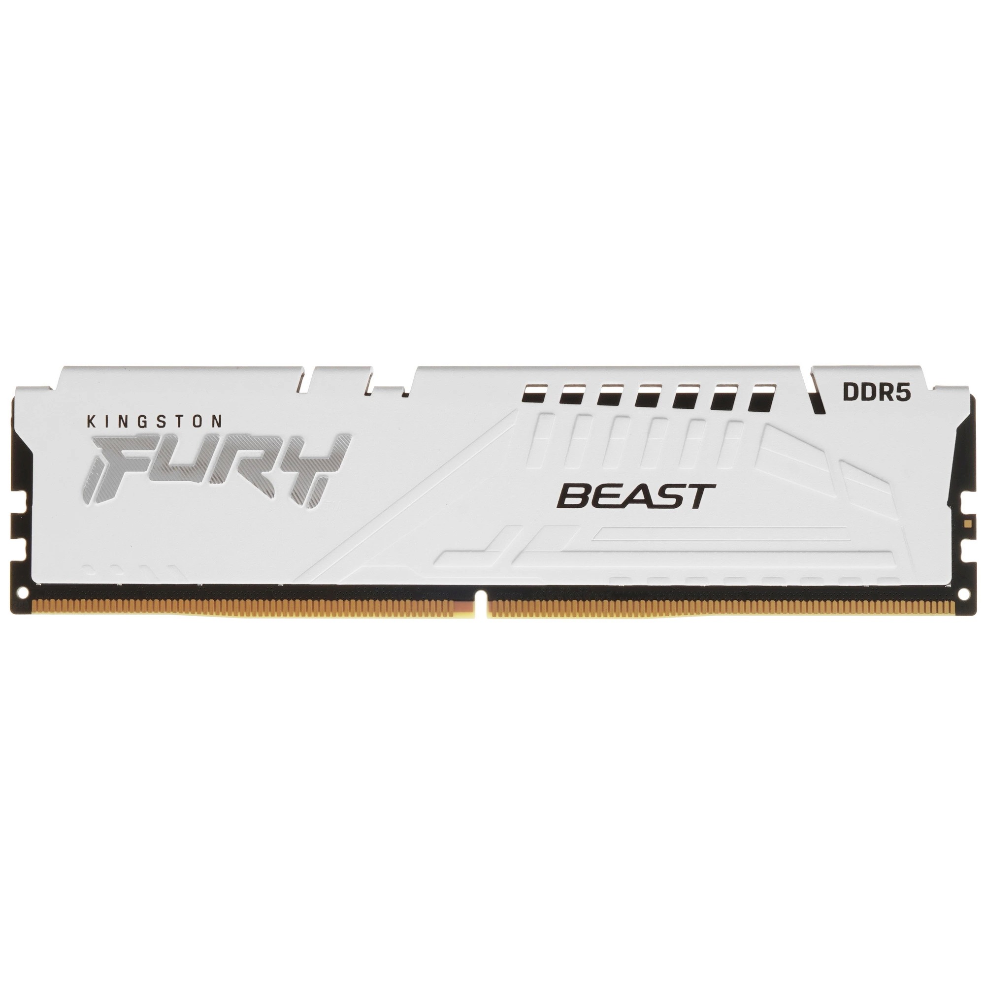 Kingston FURY Beast KF560C36BWE-32