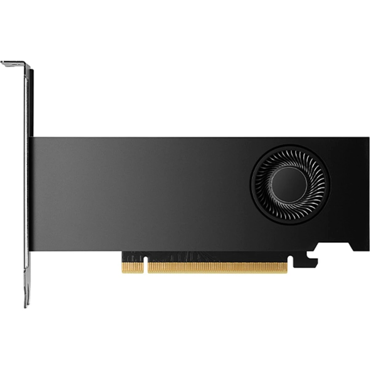 Видеокарта NVIDIA RTX 2000 Ada PCIe 16GB GDDR6, BLK арт. 900-5G192-2240-000