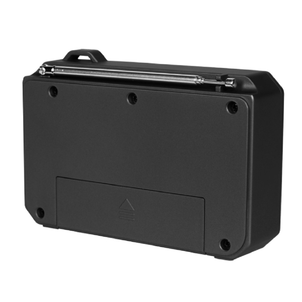 RITMIX RPR-010