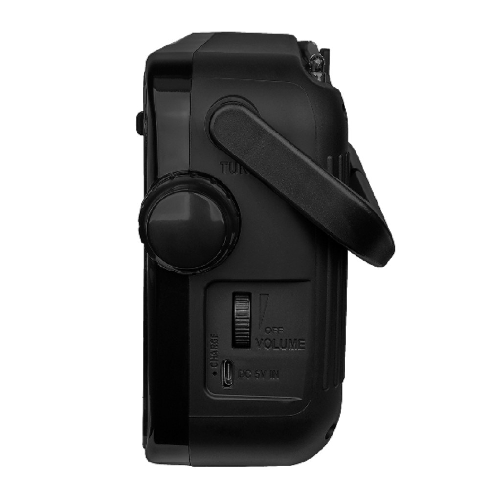 RITMIX RPR-303