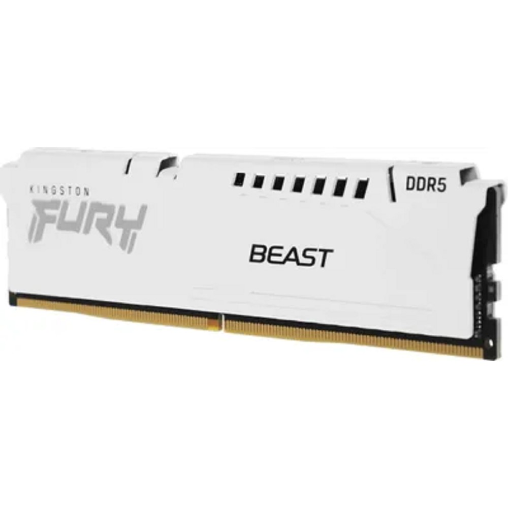 Kingston FURY Beast KF556C40BW-32