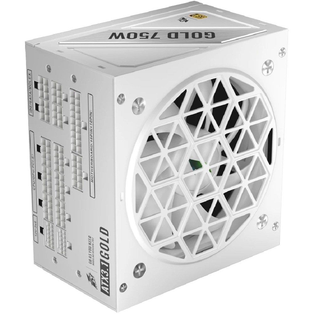 1STPLAYER NGDP GOLD 750W White / ATX 3.1, APFC, 80 PLUS Gold, LLC+DC-DC, full Japan solid-state caps, 120mm fan, full modular / HA-750BA4-WH