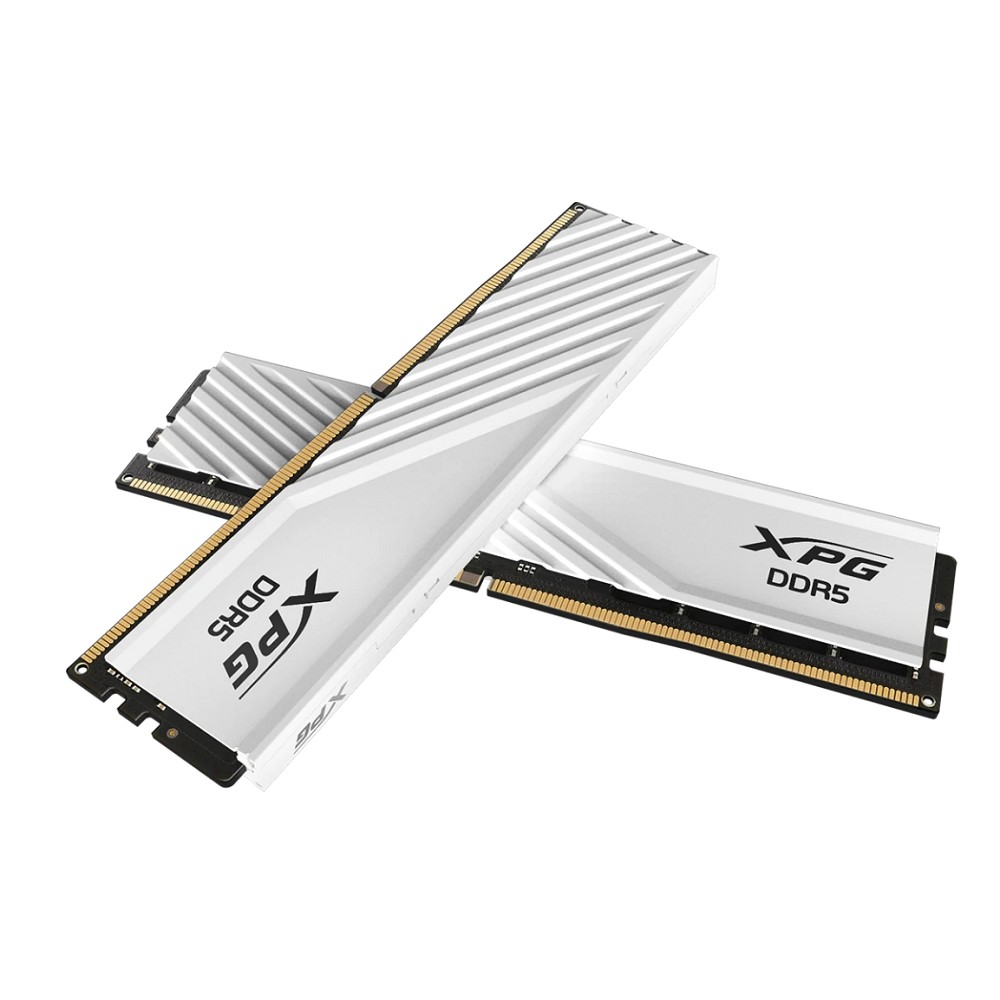ADATA AX5U6000C3616G-DTLABWH