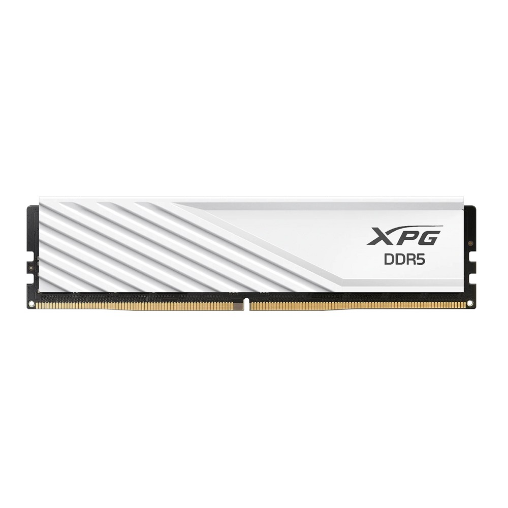 ADATA AX5U6000C3616G-DTLABWH