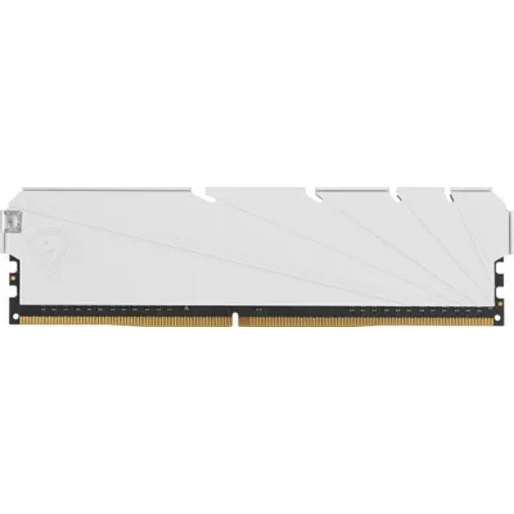Netac Shadow S 8GB DDR4-3200 (PC4-25600) C16 16-20-20-40 1.35V XMP Memory module (DIMM) White арт. NTSSD4P32SP-08W