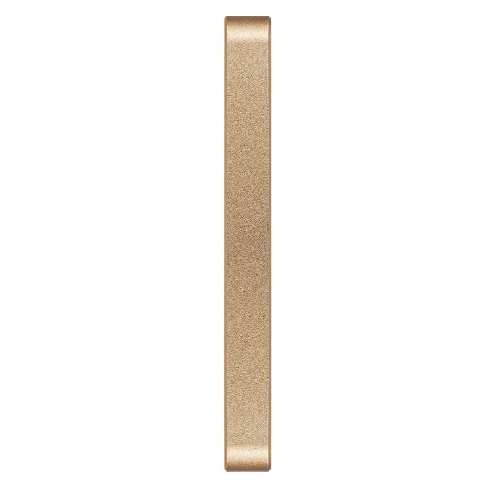 Smartbuy Portable SSD 2TB P5 Pro USB 3.2 champagne [SBD2T0P5CU3C] Smart buy