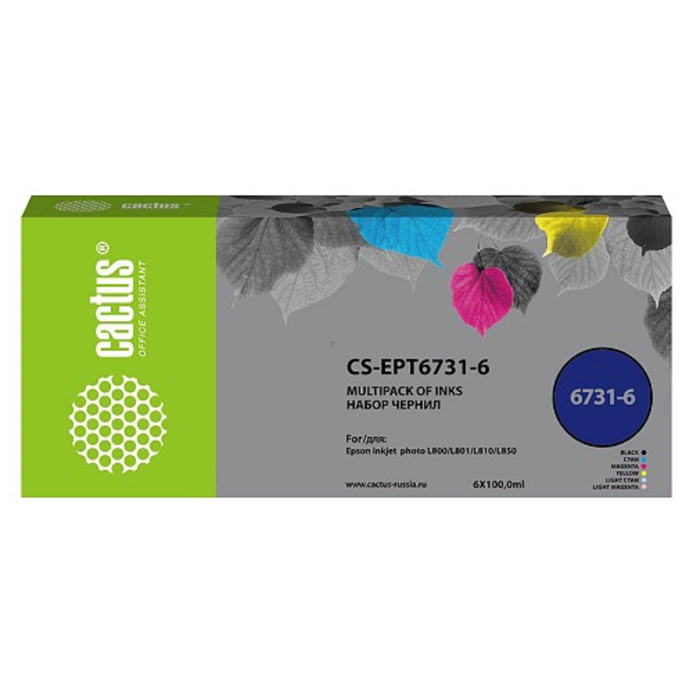 Cactus CS-EPT6731-6