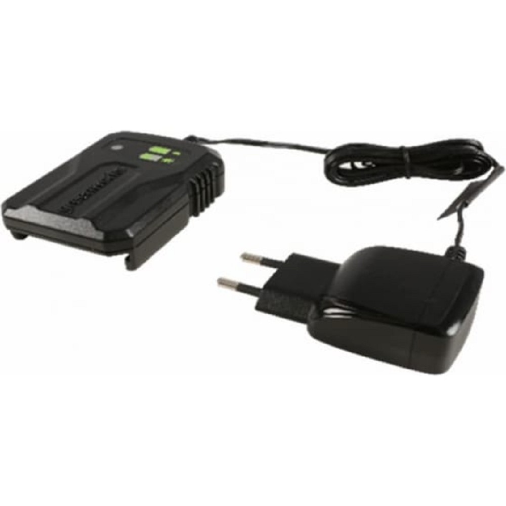 Зарядное устройство Greenworks G40UCM2M (2946507)