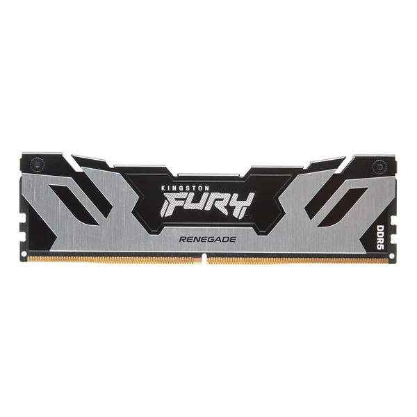 Оперативная память Kingston 32GB 6400MT/s DDR5 CL32 DIMM FURY Renegade Silver XMP