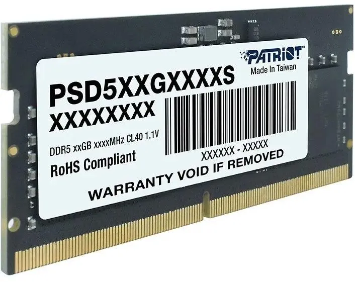 Patriot PSD58G560041S
